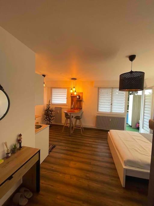 Grand Avec Jacuzzi Strasbourg